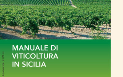 Manuale di viticoltura in Sicilia